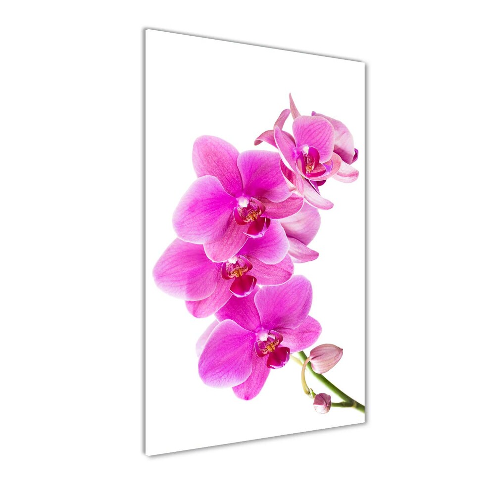 Tableau verre imprimé Orchidée rose