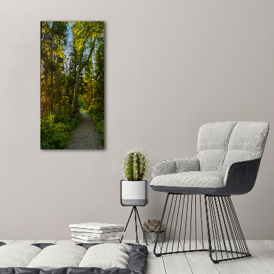 Tableau photo sur verre Un chemin dans la forêt