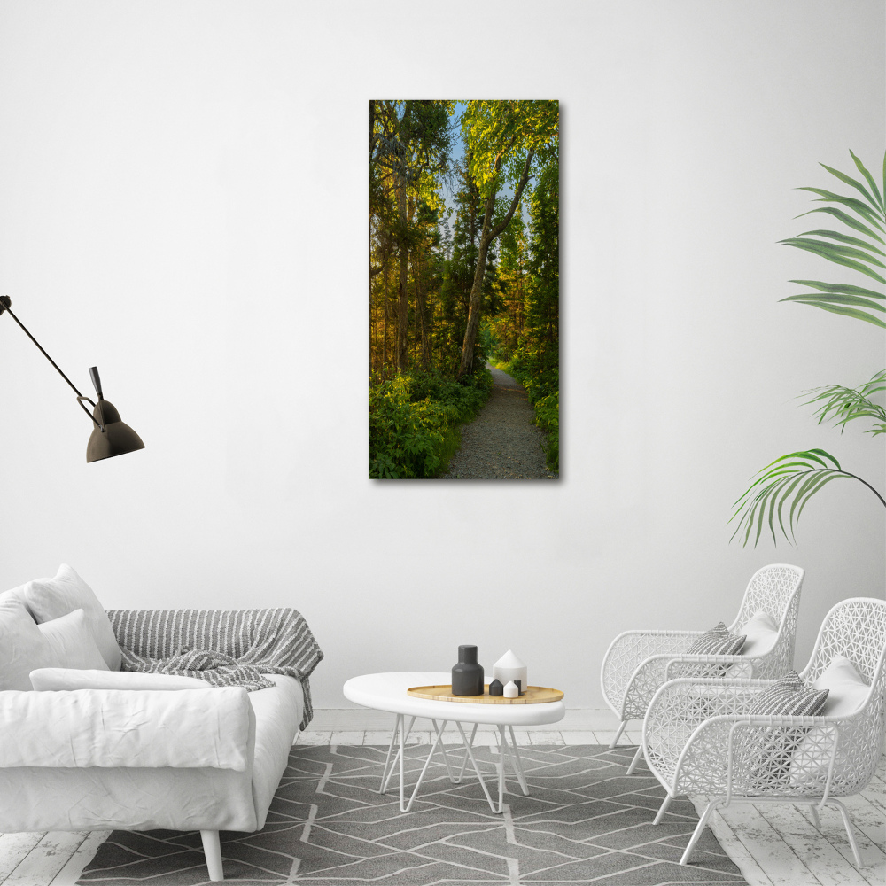 Tableau photo sur verre Un chemin dans la forêt