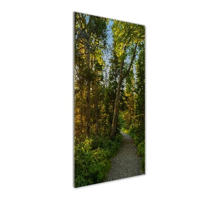 Tableau photo sur verre Un chemin dans la forêt