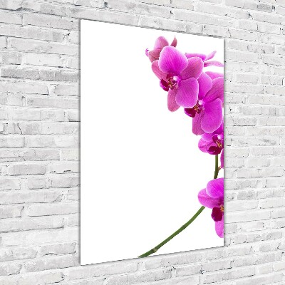 Tableau photo sur verre Orchidée rose fleur