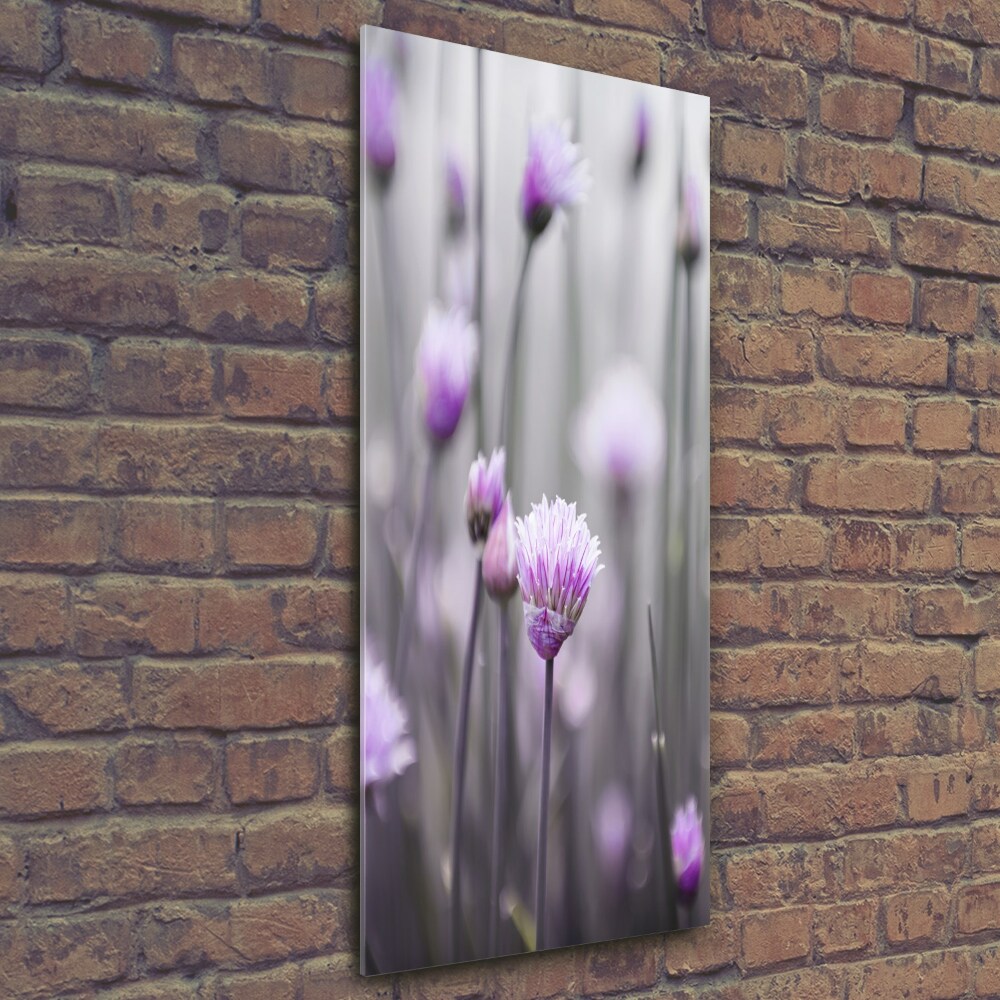 Tableau photo sur verre Fleurs de ciboulette