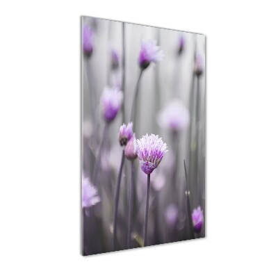 Tableau photo sur verre Fleurs de ciboulette