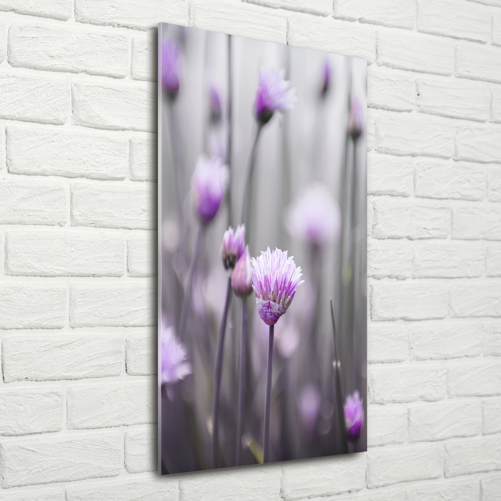 Tableau photo sur verre Fleurs de ciboulette