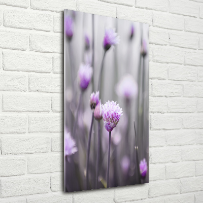 Tableau photo sur verre Fleurs de ciboulette