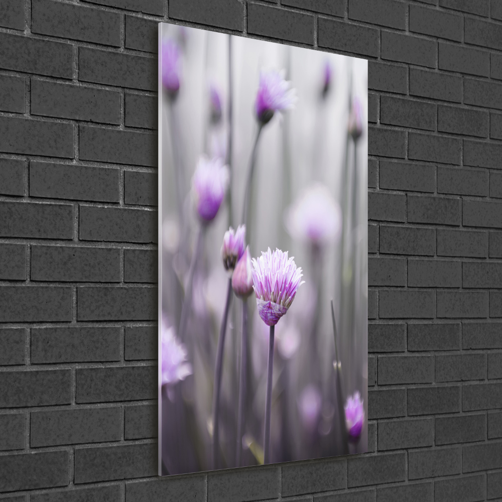 Tableau photo sur verre Fleurs de ciboulette