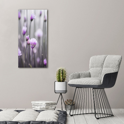 Tableau photo sur verre Fleurs de ciboulette