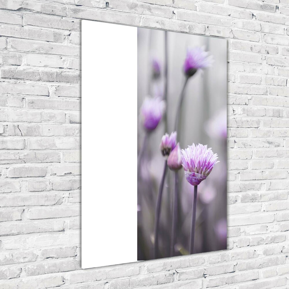 Tableau photo sur verre Fleurs de ciboulette