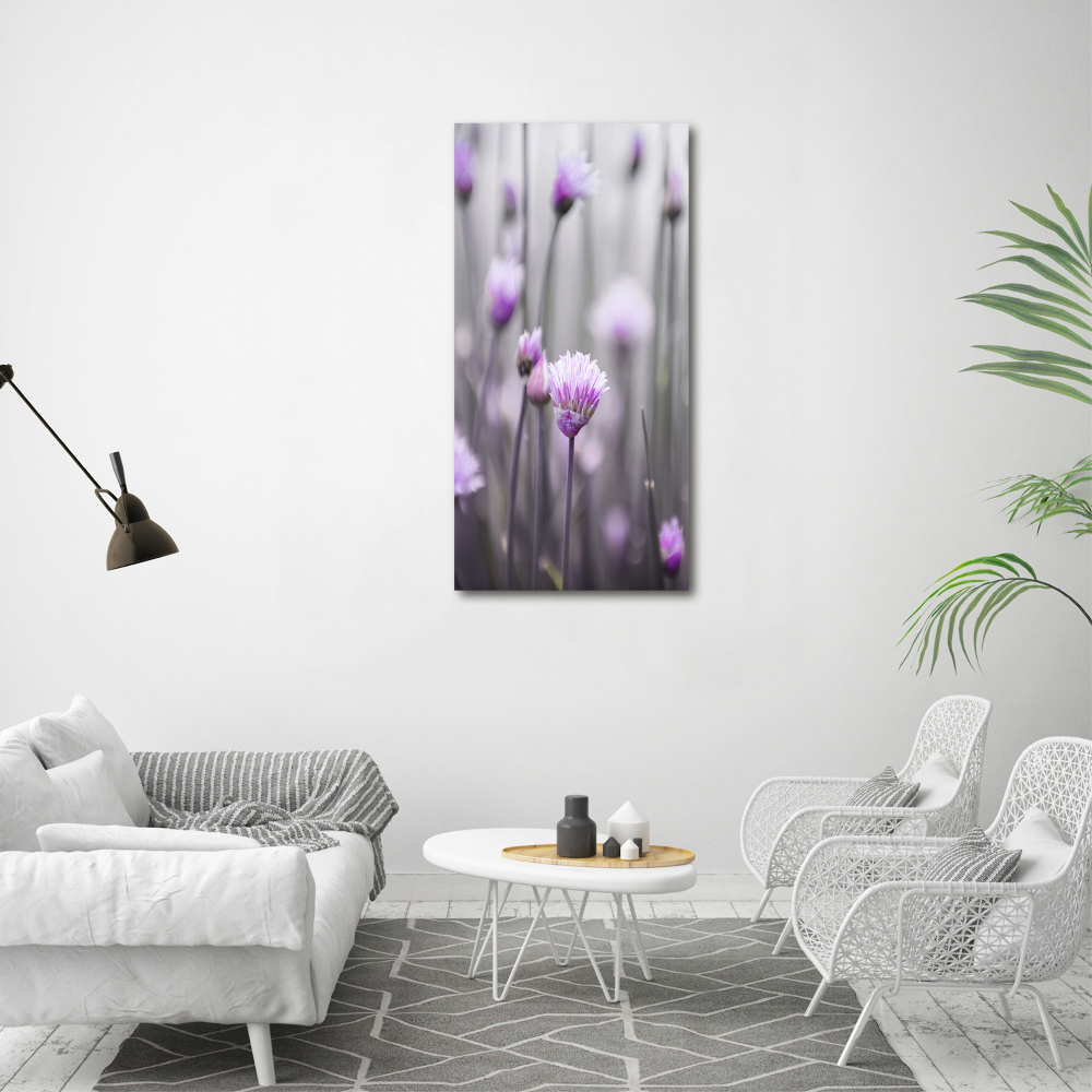 Tableau photo sur verre Fleurs de ciboulette