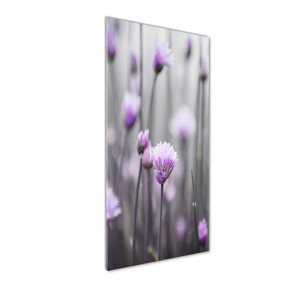 Tableau photo sur verre Fleurs de ciboulette