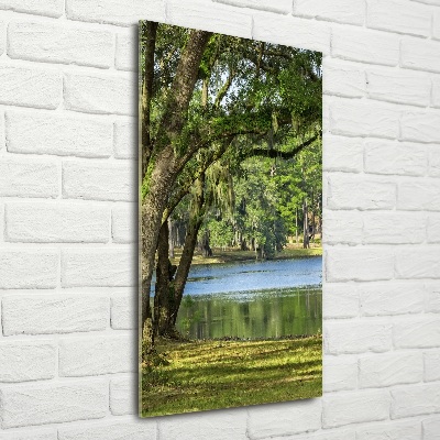 Tableau photo sur verre Lac dans le parc