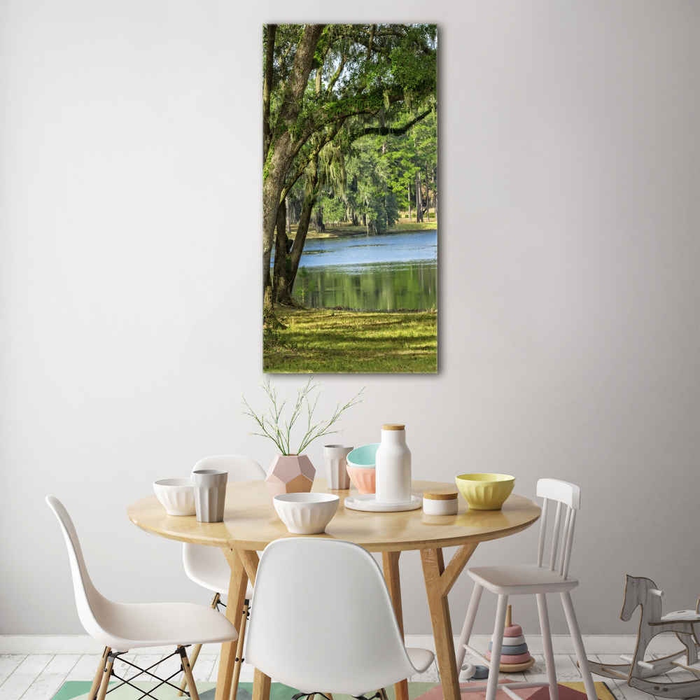 Tableau photo sur verre Lac dans le parc