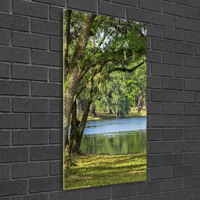 Tableau photo sur verre Lac dans le parc