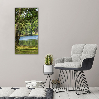 Tableau photo sur verre Lac dans le parc