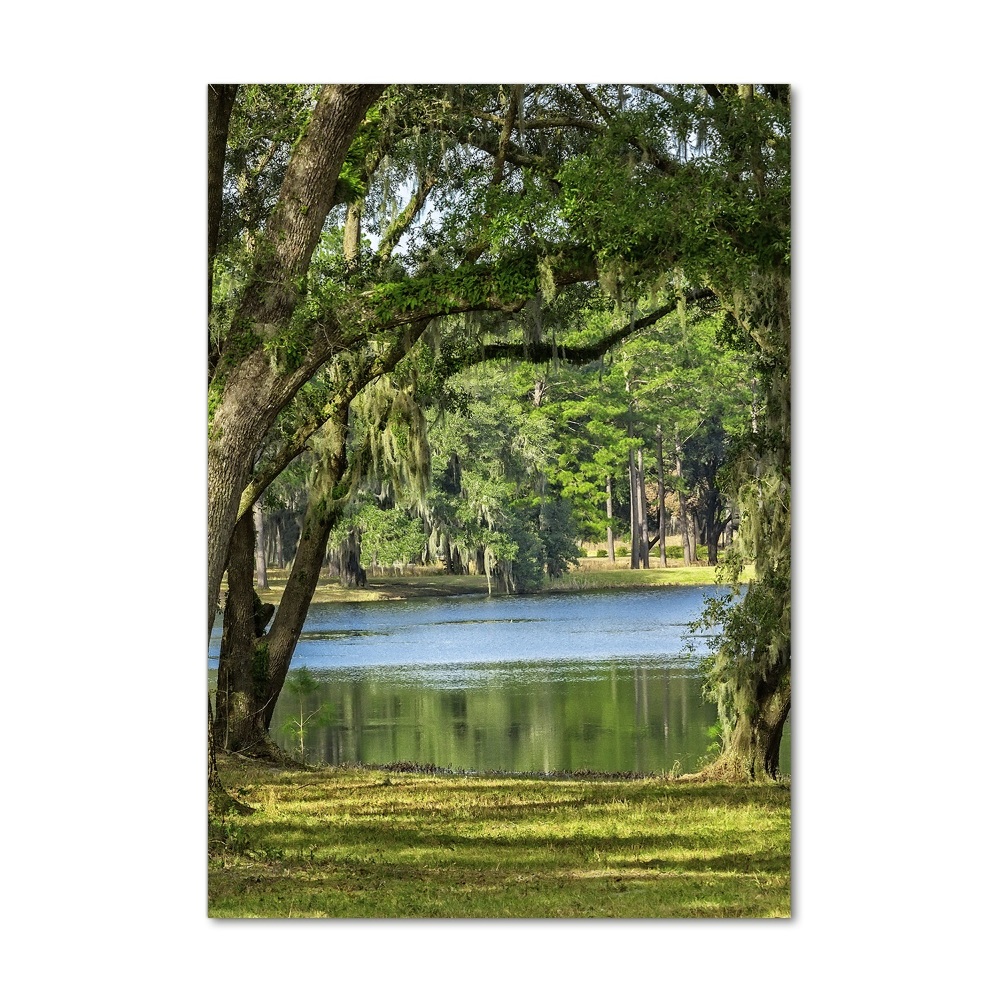 Tableau photo sur verre Lac dans le parc