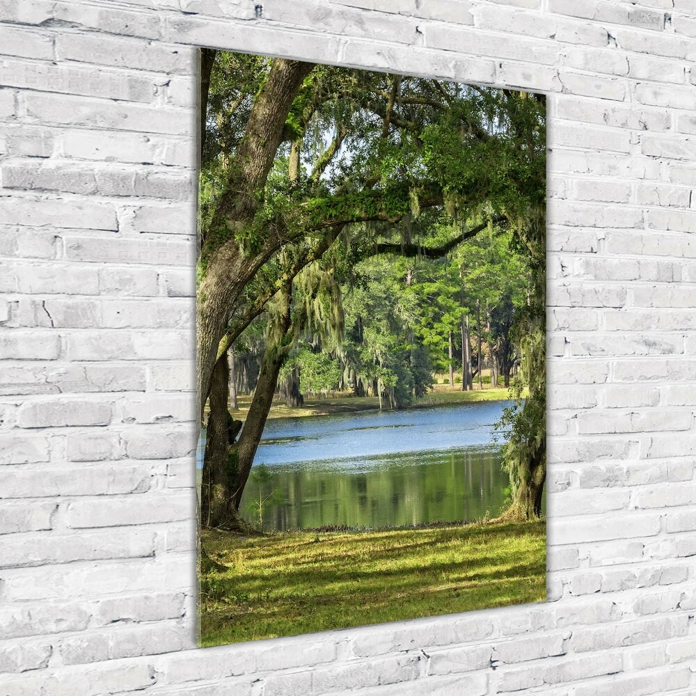 Tableau photo sur verre Lac dans le parc