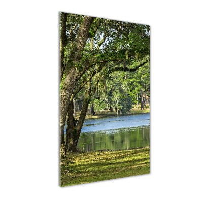 Tableau photo sur verre Lac dans le parc