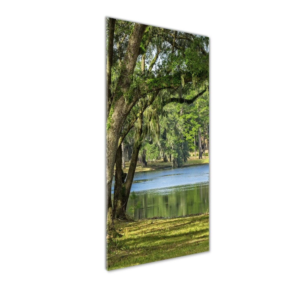 Tableau photo sur verre Lac dans le parc