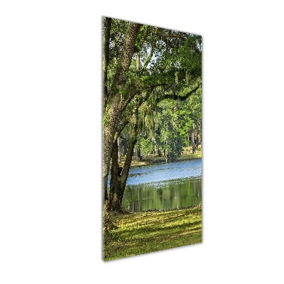 Tableau photo sur verre Lac dans le parc