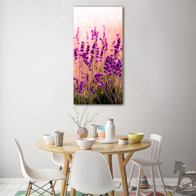 Tableau photo sur verre Champ de lavandes