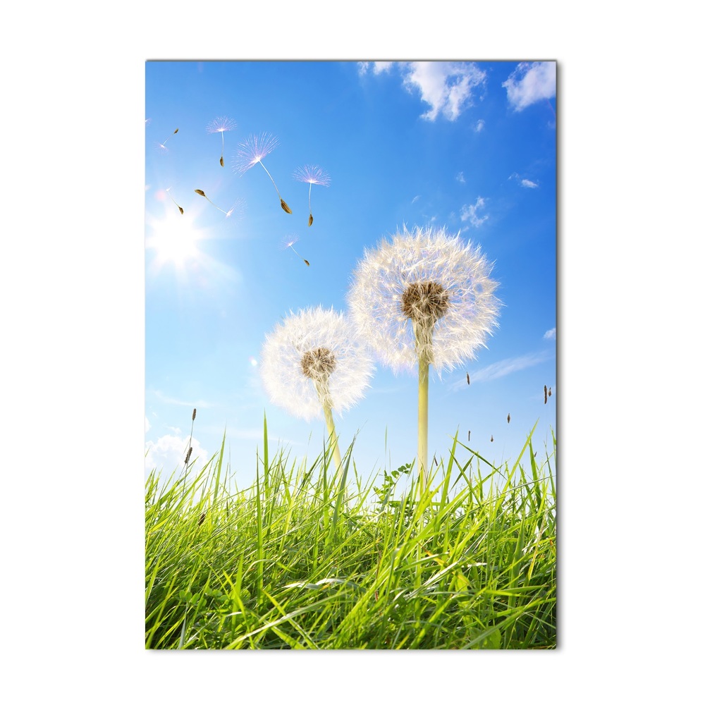 Tableau sur verre Souffleurs dans une prairie