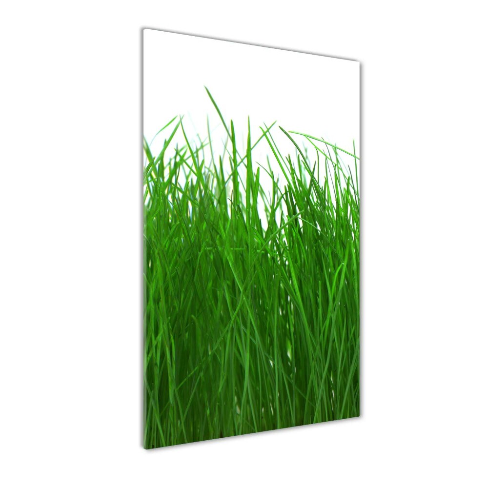 Tableau sur verre Herbe