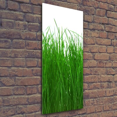 Tableau sur verre Herbe