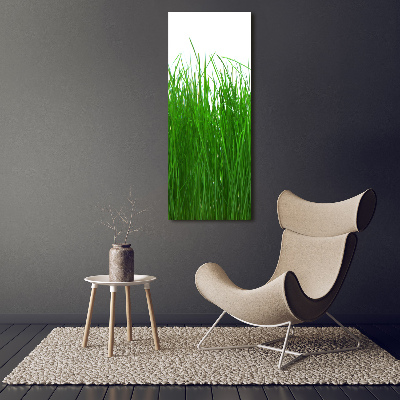 Tableau sur verre Herbe