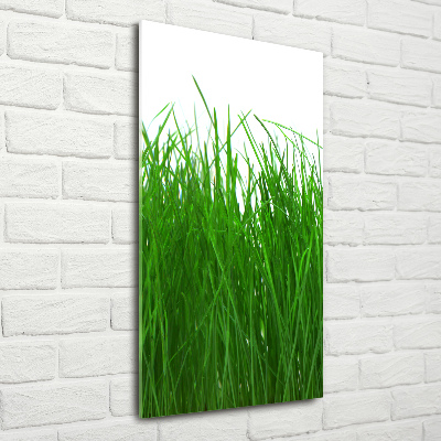 Tableau sur verre Herbe