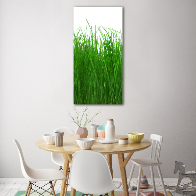 Tableau sur verre Herbe