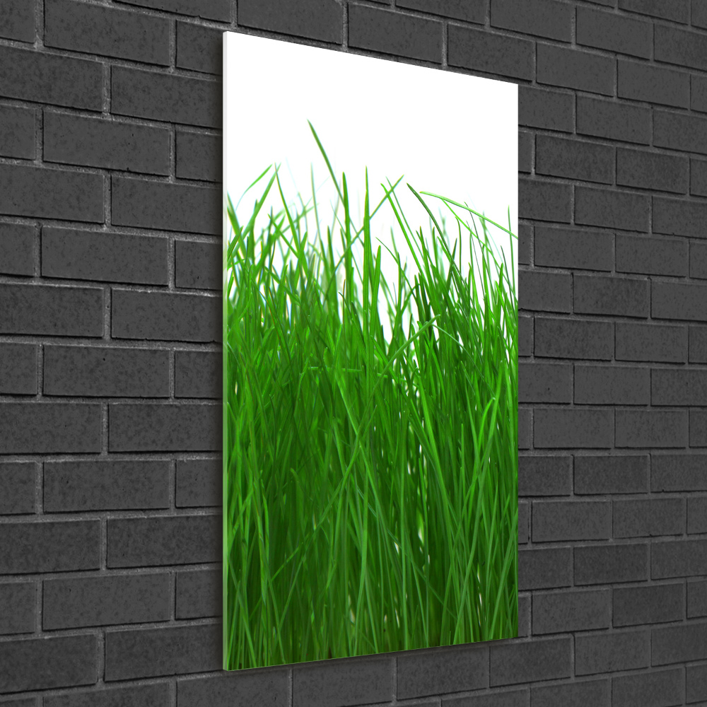 Tableau sur verre Herbe