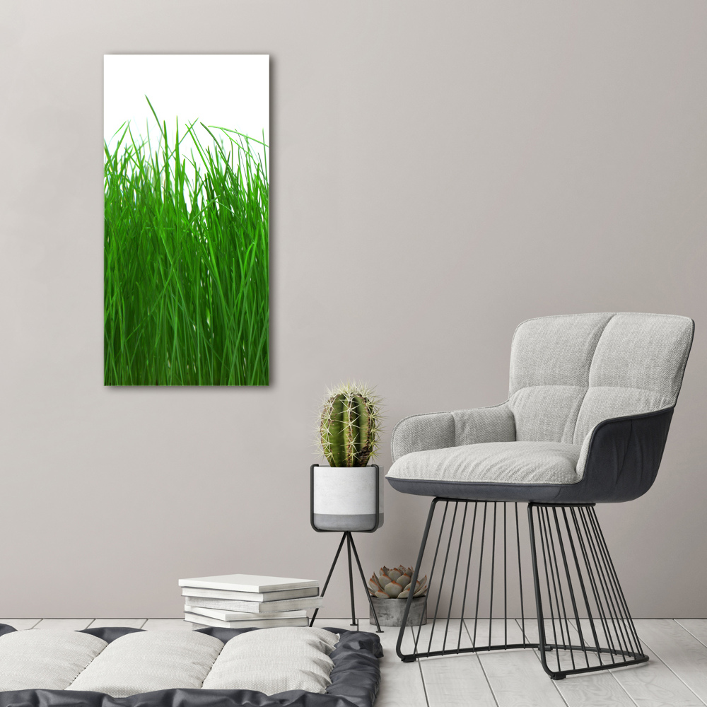 Tableau sur verre Herbe