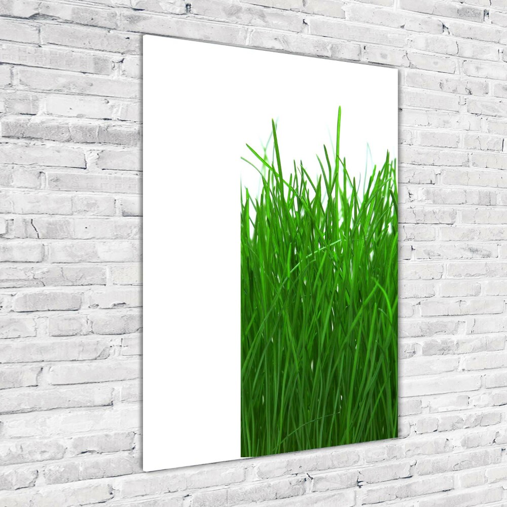 Tableau sur verre Herbe