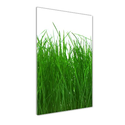 Tableau sur verre Herbe