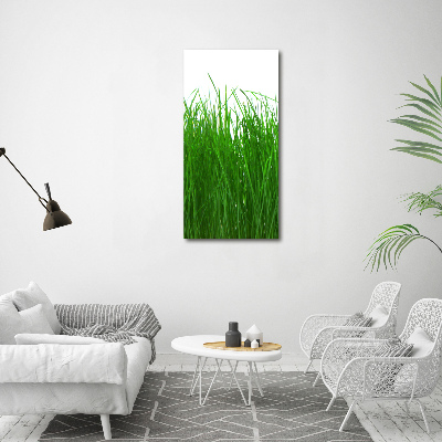 Tableau sur verre Herbe