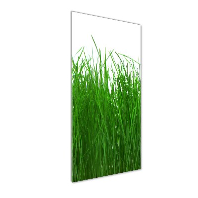 Tableau sur verre Herbe