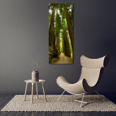 Tableau photo sur verre Chemin dans la forêt