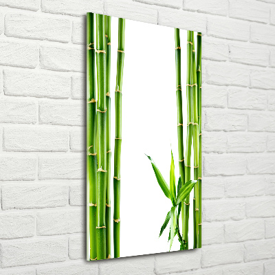 Tableau imprimé sur verre Bamboo