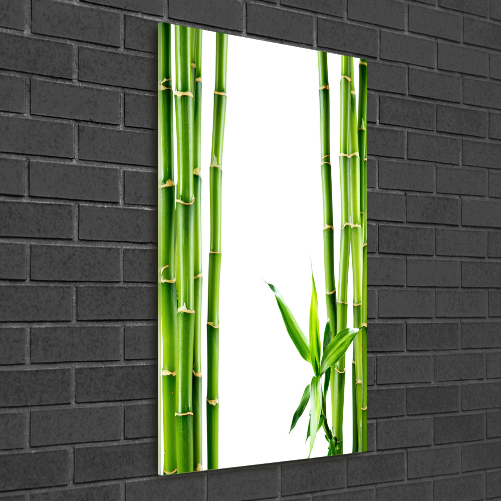 Tableau imprimé sur verre Bamboo