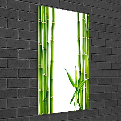 Tableau imprimé sur verre Bamboo