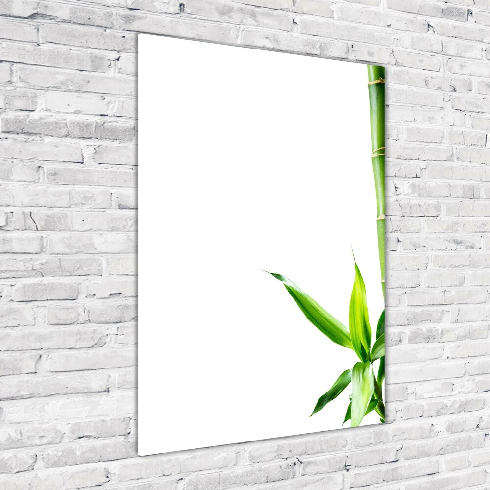 Tableau imprimé sur verre Bamboo