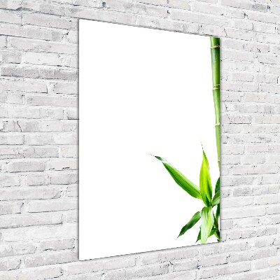 Tableau imprimé sur verre Bamboo