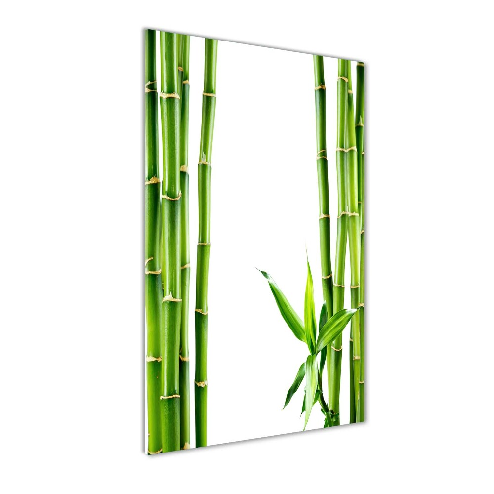 Tableau imprimé sur verre Bamboo