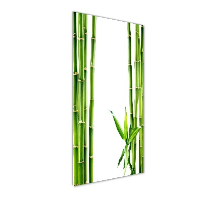 Tableau imprimé sur verre Bamboo