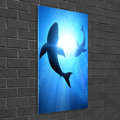 Tableau photo sur verre Silhouettes de requins