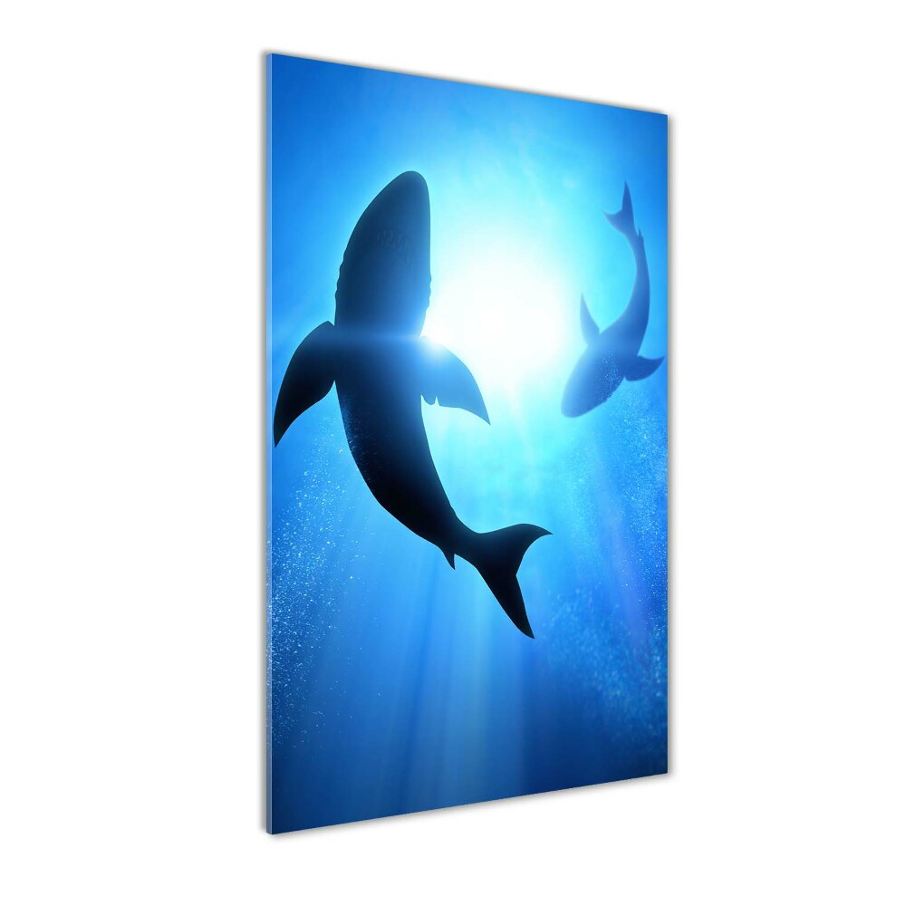 Tableau photo sur verre Silhouettes de requins