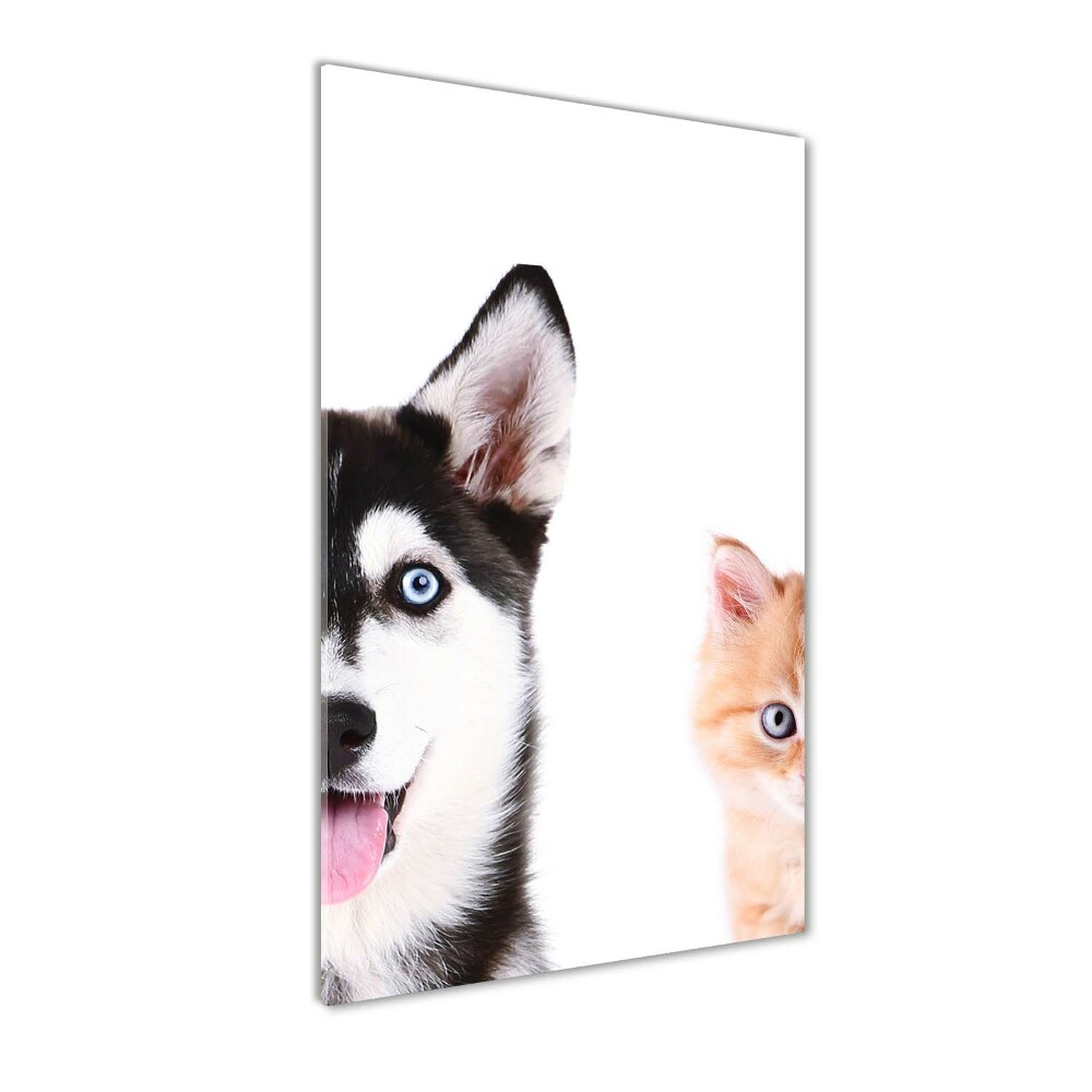 Tableau sur verre Chien et chat