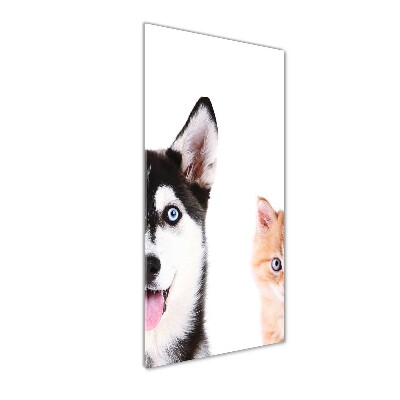 Tableau sur verre Chien et chat