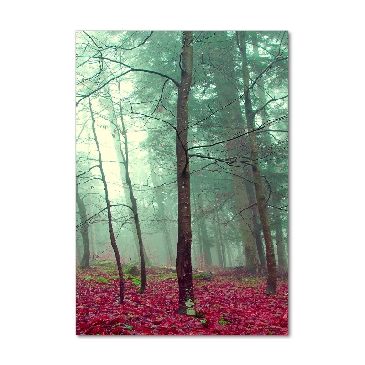 Tableau imprimé sur verre Forêt en automne