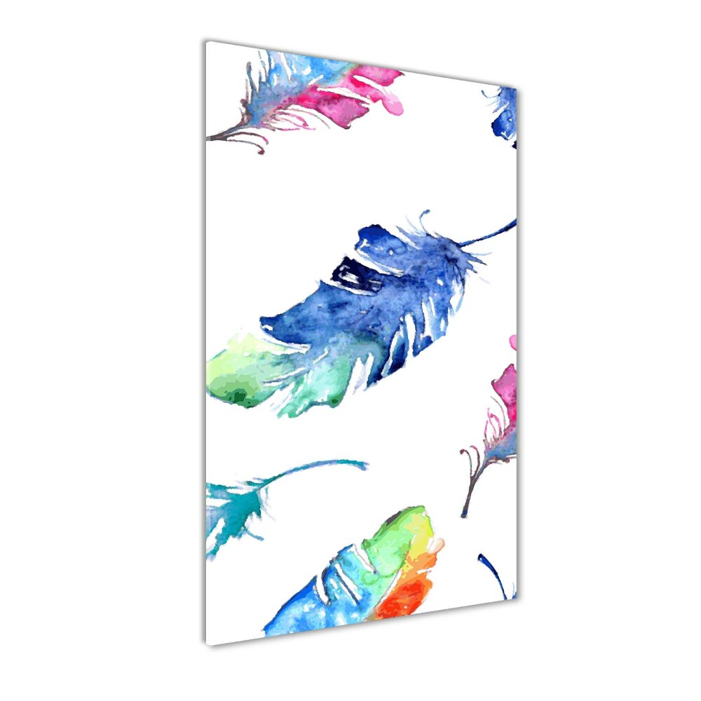 Tableau sur verre Plumes colorées